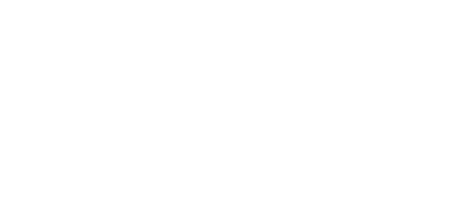 Spinal Injuries Association